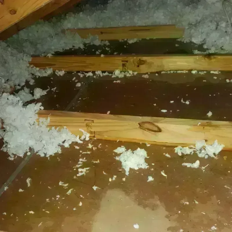 Attic Water Damage in Van Buren County, TN